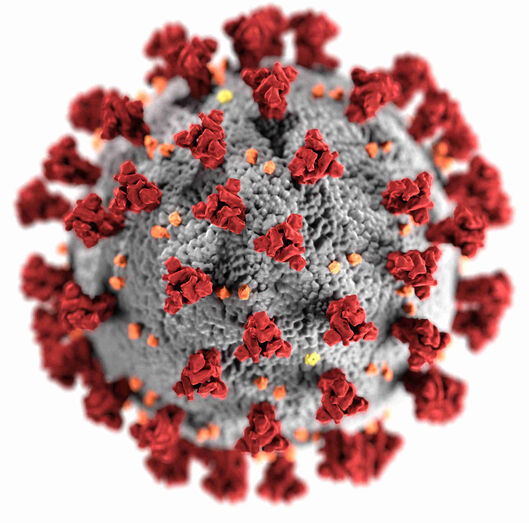 Coronavirus