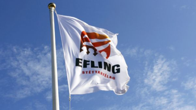 Efling-fani