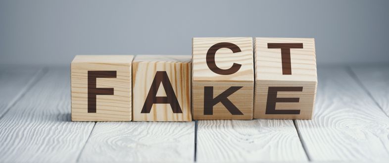 Fact_fake_blocks_sl