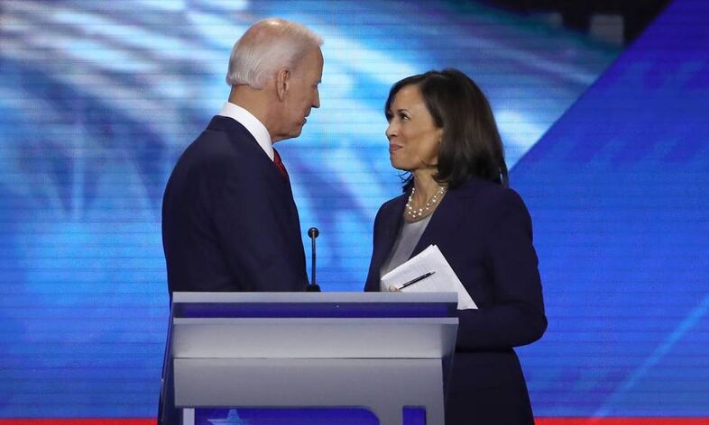 Files-us-politics-vote-democrats-biden-harris