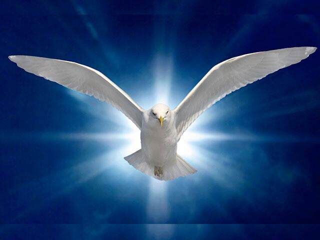 Holy-spirit-dove_SI
