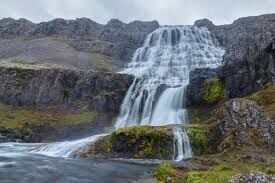 Idmages_1636194203543