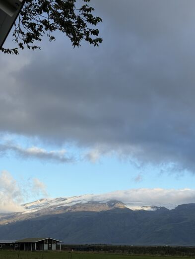 IMG_0547-1-