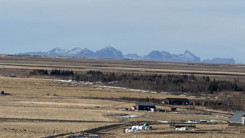 IMG_3469_1775388060157