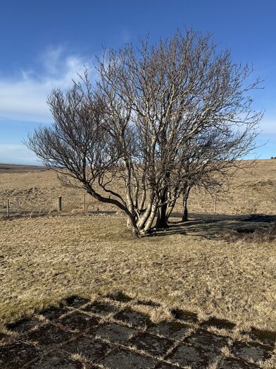 IMG_3476_1775388060244