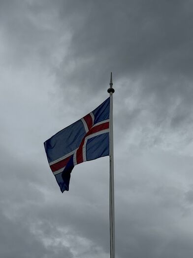 IMG_3706