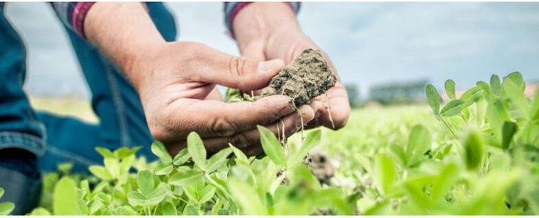 Picture-soil-with-hands