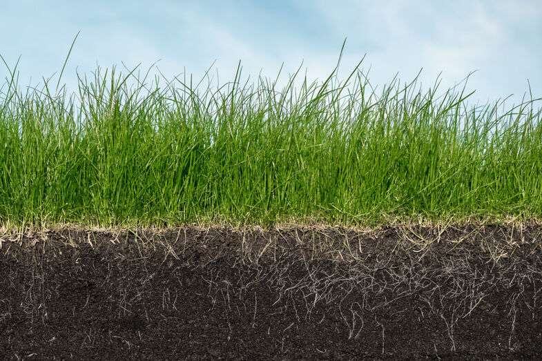 Soil-grass-carbon-farming-adobestock-357924853