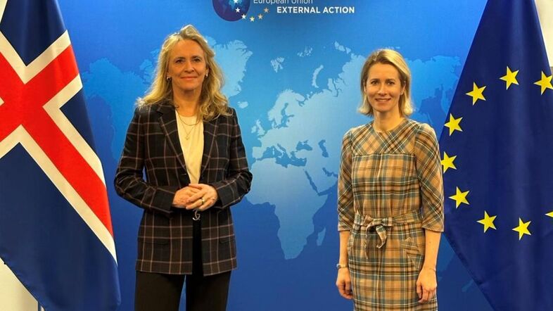 Thorgerdur-Katrin-with-HRVP-Kaja-Kallas-15.01.2025-MFA-picture-_0-1-