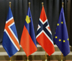 Eea-flags-300_1764245670519