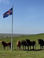 IMG_0074