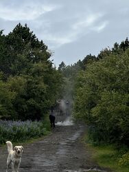 IMG_0114