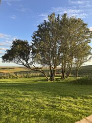 IMG_2470-1-