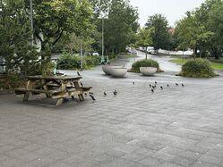 IMG_3856