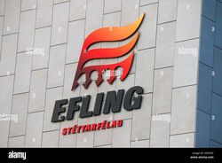 Logo-markenname-brand-name-efling-reykjavik-island-KDD3X5_1675552432924