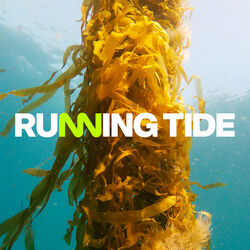 Running-tide-kelp