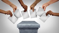 TFS-Electoral-Rights